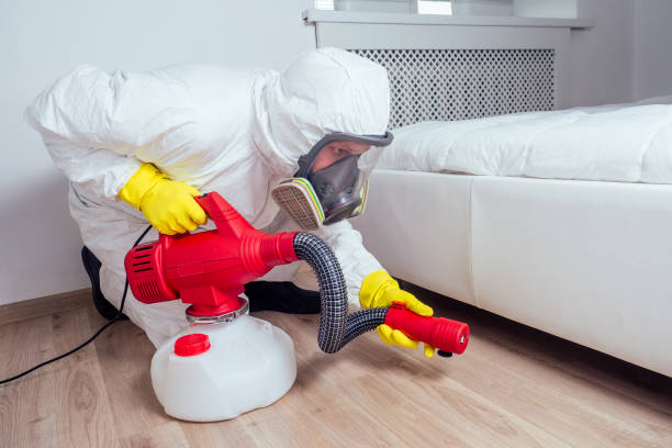 Real Estate Pest Inspections in Rochester, MN